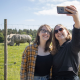 knowsley safari park virgin experience