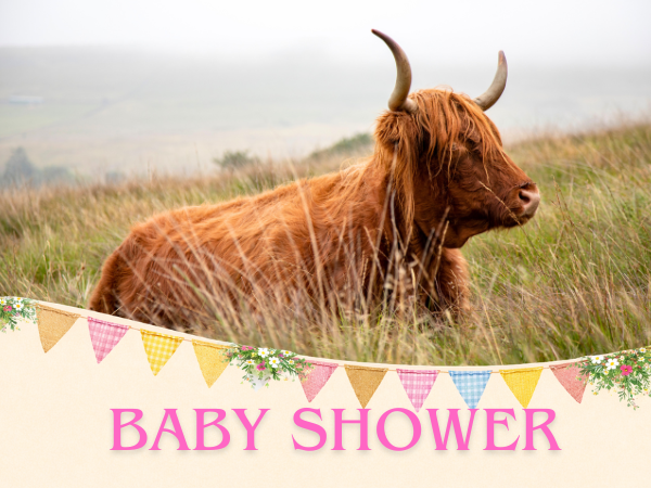 Baby Shower