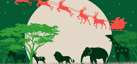 Santa's Grotto at Dublin Zoo 2024