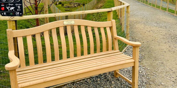 Memorial Benches