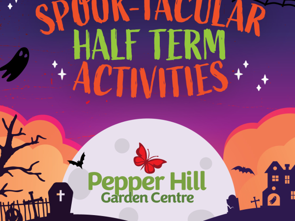 Pepper Hill Children's Events
