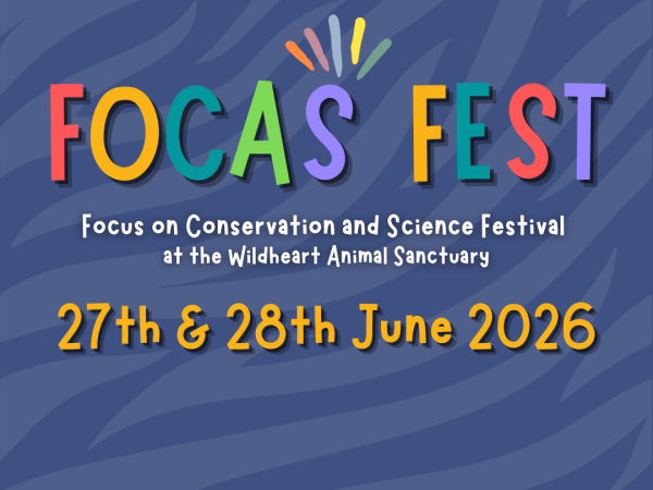 FOCAS Festival 2026