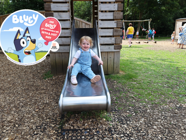 Bluey Weekend - 30th & 31st May 2026