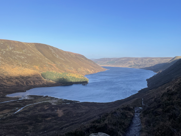 Ranger Guided Walks