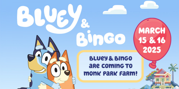 bluey and bingo with green background