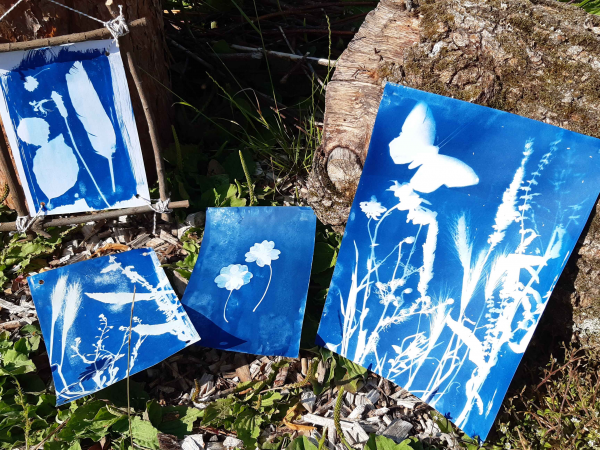 Cyanotype Printing Workshop - Adults