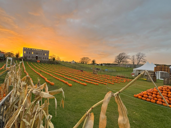 Adult Only Pumpkin Fest 2025