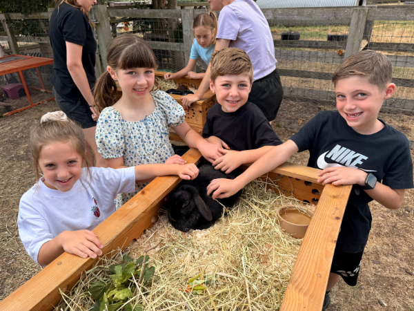 Farm Park Admission