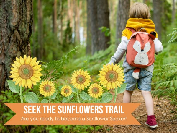 Seek the Sunflowers Trail