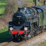 Steam Train Trip with Fish & Chips (Sussex)