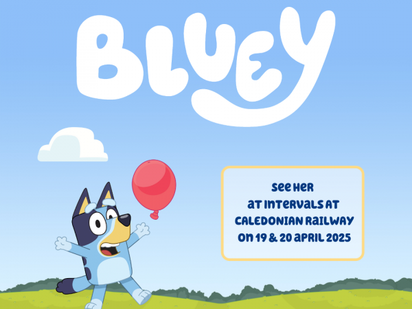 Bluey Visits! Train Tickets (Angus)