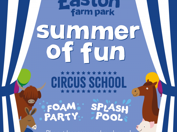 Summer of Fun