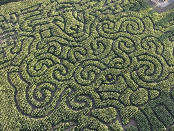 Maize Maze Tickets