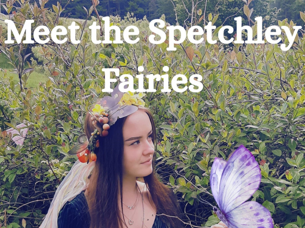 Greedy Caterpillar and Fairy Wing Quest with Trail