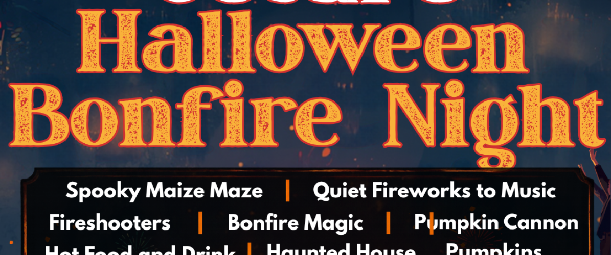 Halloween Bonfire Night