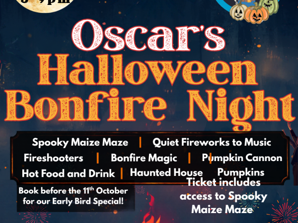 Halloween Bonfire Night