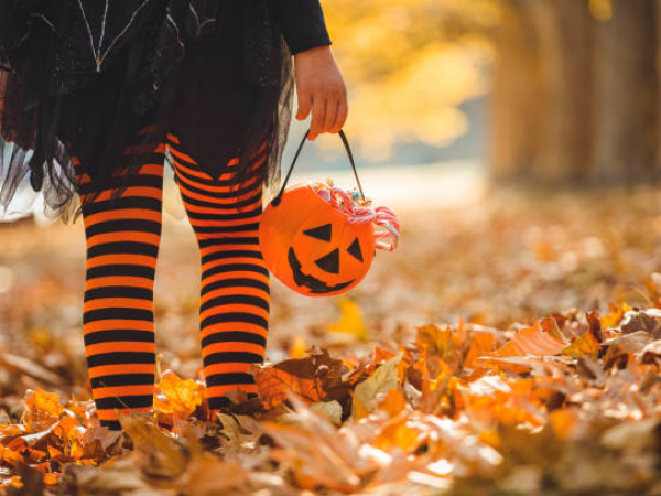 A Great Yorkshire Halloween 4th Oct - 2nd Nov
