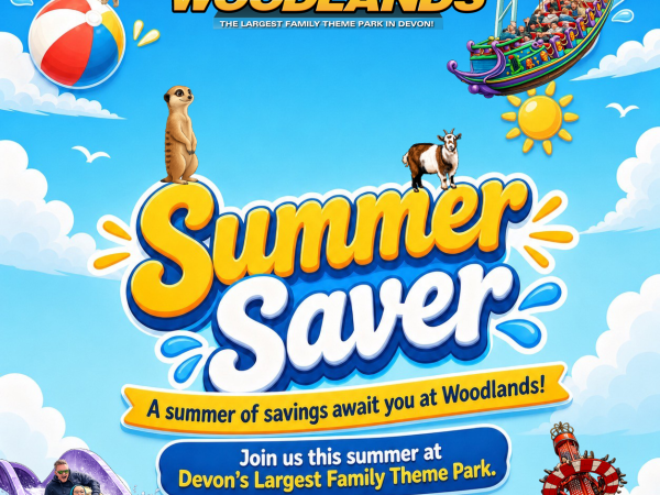 Summer Saver Ticket