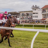 Wincanton Races for Kingwell Hurdle Day on  17th February 2024