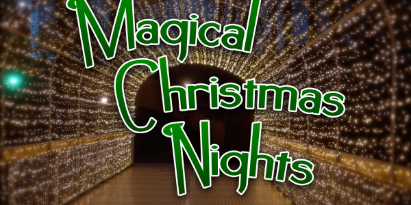 Magical Christmas Nights at Woodlands (Grotto Only, PARK CLOSED)