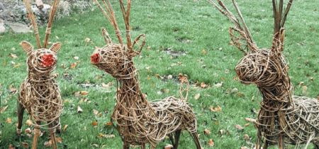 Festive Reindeer in Willow