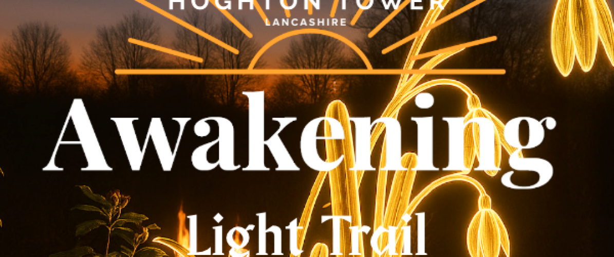 Light Trail - Awakening