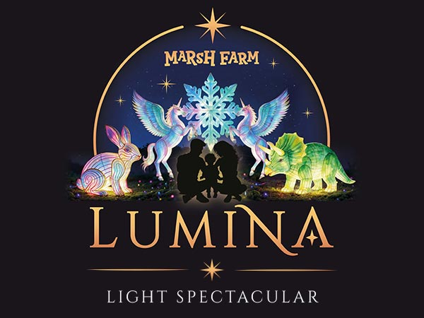 Lumina Light Spectacular - Members
