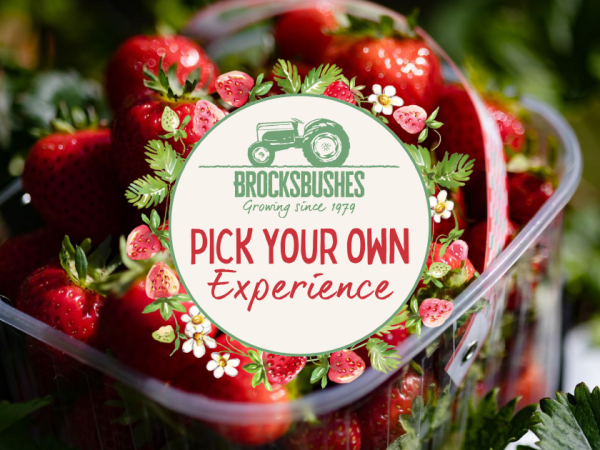 Pick Your Own Fruit