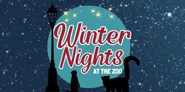 Winter Nights at BCPZ