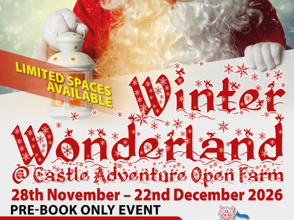 Winter Wonderland at Castle Adventure