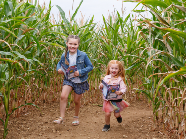 Summer events at Millets Farm