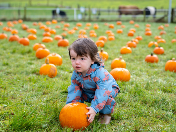 Halloween Pumpkin Patch 2026