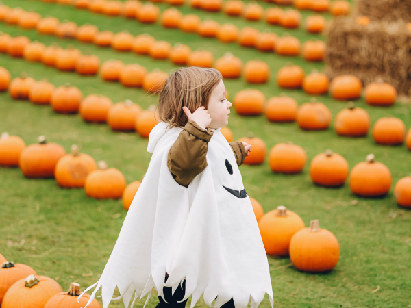 Pumpkin Patch 2026