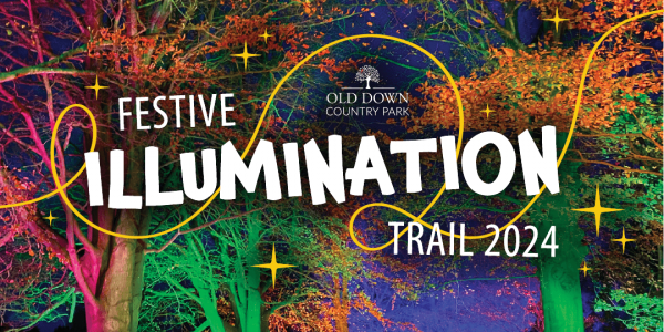 Festive Illuminations