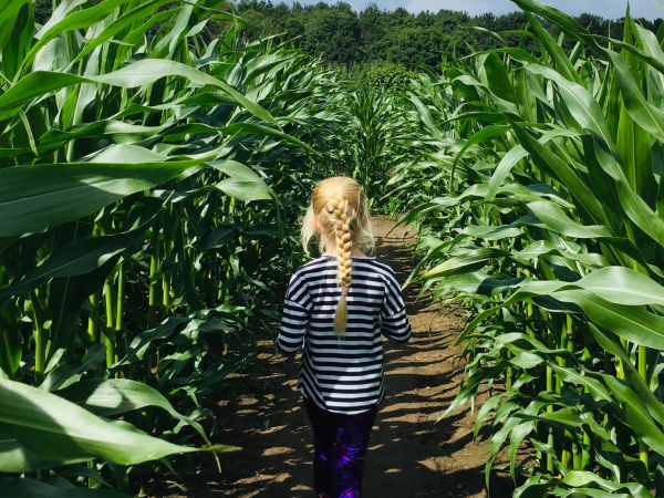 General Admission including Maize Maze