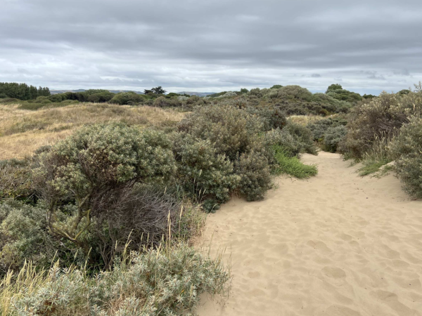 Berrow Dunes Events