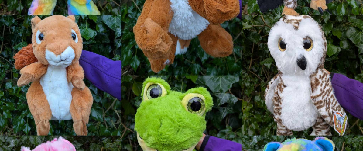 Bear Making Workshops