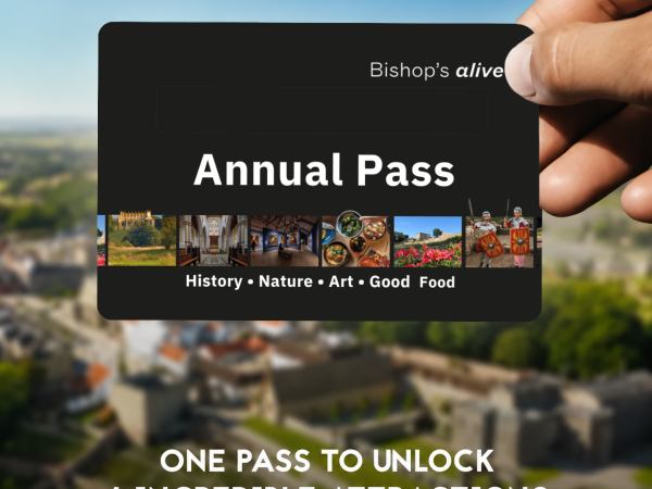 Annual pass