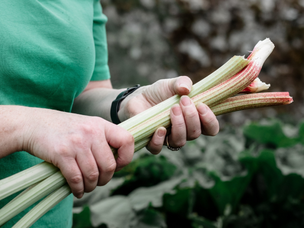 Grow your Own with Colman Power