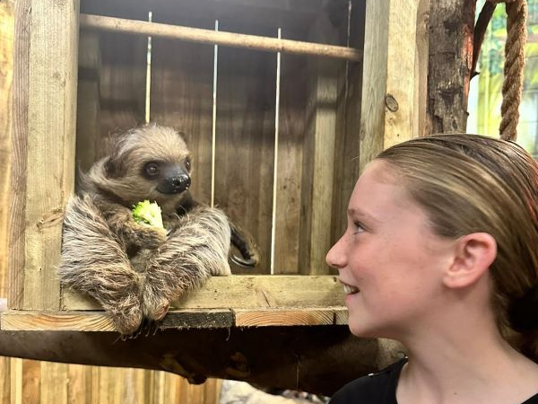 Sloth experience gift vouchers