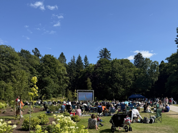 EVENING CINEMA