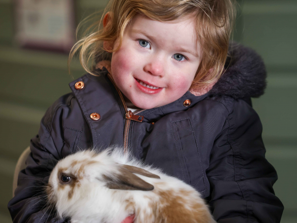 Farm tots!! (Recommended age 2 - Pre-school)