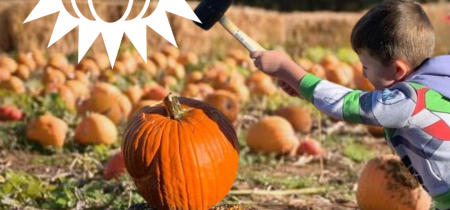 The Rogate Pumpkin Patch Event + SMASH 1-3 November