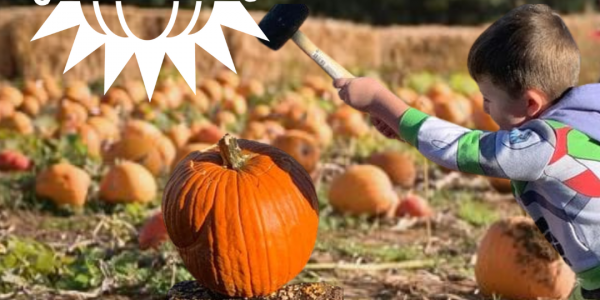 The Rogate Pumpkin Patch Event + SMASH 1-3 November