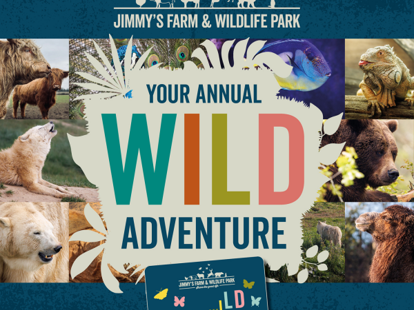 Wild Annual Membership Ticket Upgrade