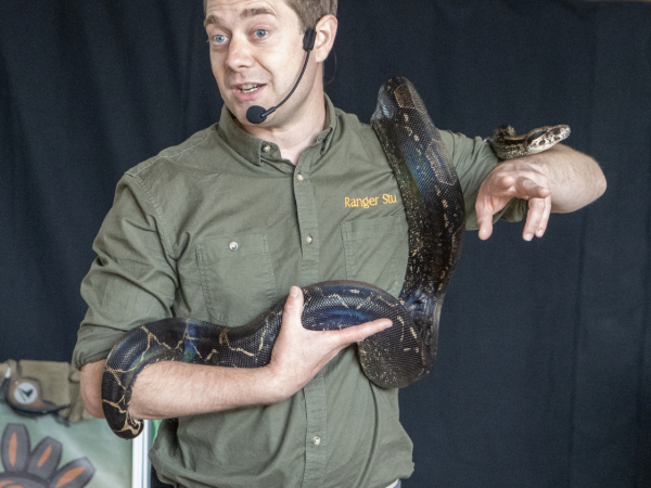Ranger Stu