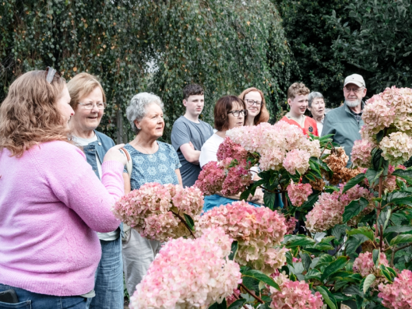 Beginner Gardening Course
