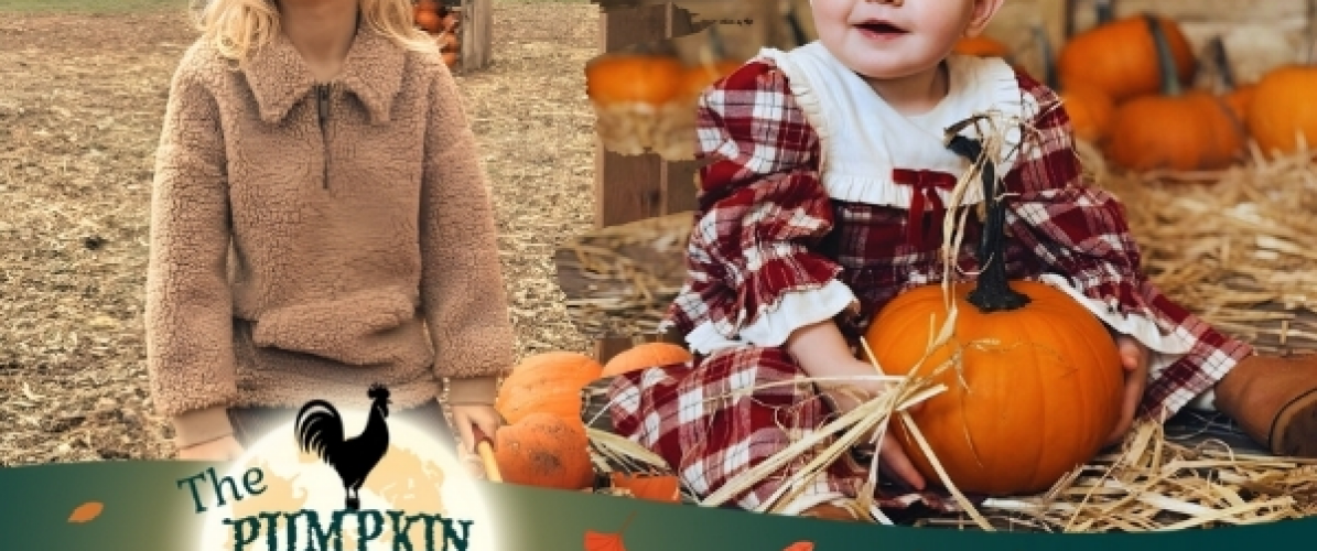 Black Friday Deal - The Pumpkin Patch 2026