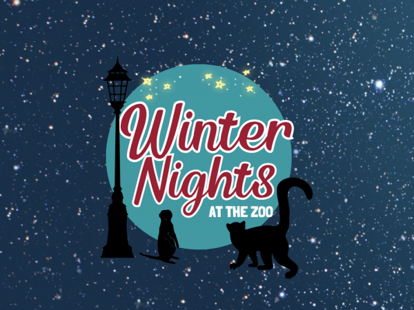 Winter Nights at BCPZ 2025