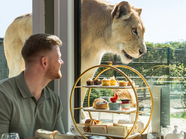 Paul Hollywood Afternoon Tea